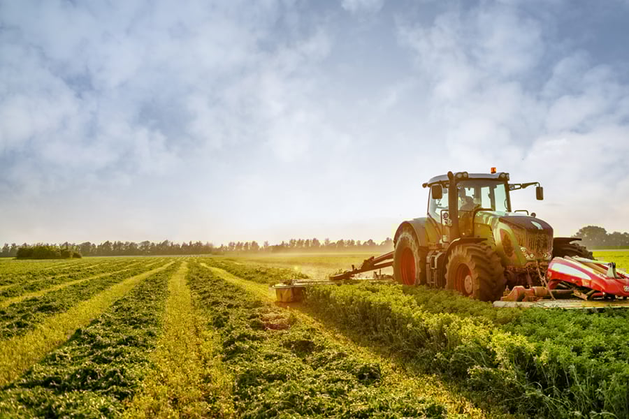 hay-making-for-animals-harvesting-website
